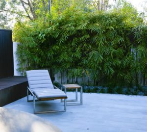 Brisbane Landscaping